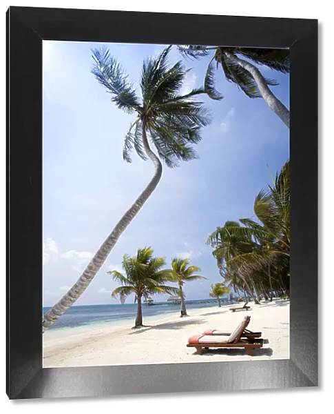 Central America, Belize, Ambergris Caye, San Pedro, sun loungers on the beach with