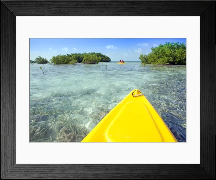 Framed Print : Central America, Belize, a point of view shot of kayaking through mangrove cayes in Framed Print : Central America, Belize, a point of view shot of kayaking through mangrove cayes in