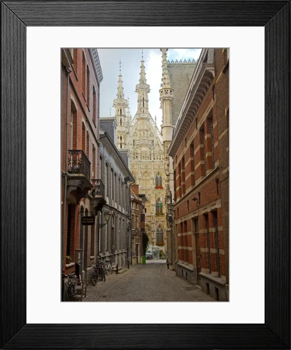 Framed Print : Leuven, Belgium. View towards town hall in Leuvens historic town centre