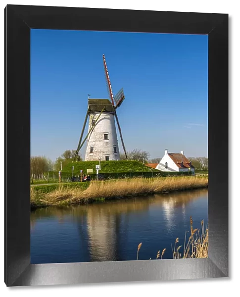 Windmill along Damme canal, Damme, West Flanders, Belgium