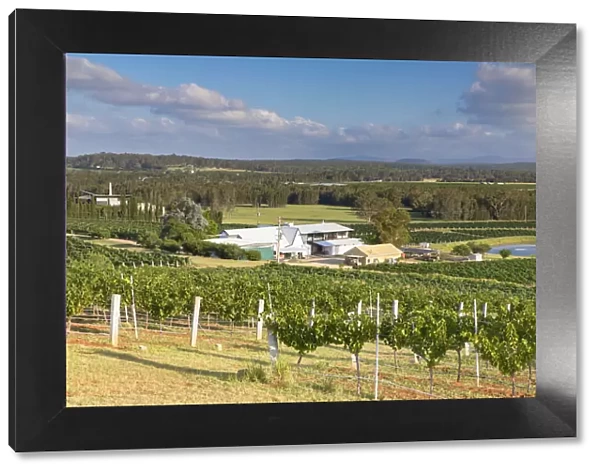 Lakes Folly Wine Estate, Hunter Valley, New South Wales, Australia