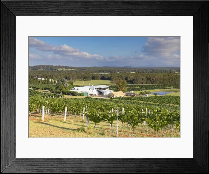 Framed Print : Lakes Folly Wine Estate, Hunter Valley, New South Wales, Australia Framed Print : Lakes Folly Wine Estate, Hunter Valley, New South Wales, Australia