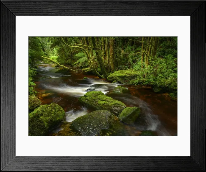 Framed Print : Australia, Tasmania, Franklin-Gordon Wild Rivers National Park, Creek Framed Print : Australia, Tasmania, Franklin-Gordon Wild Rivers National Park, Creek
