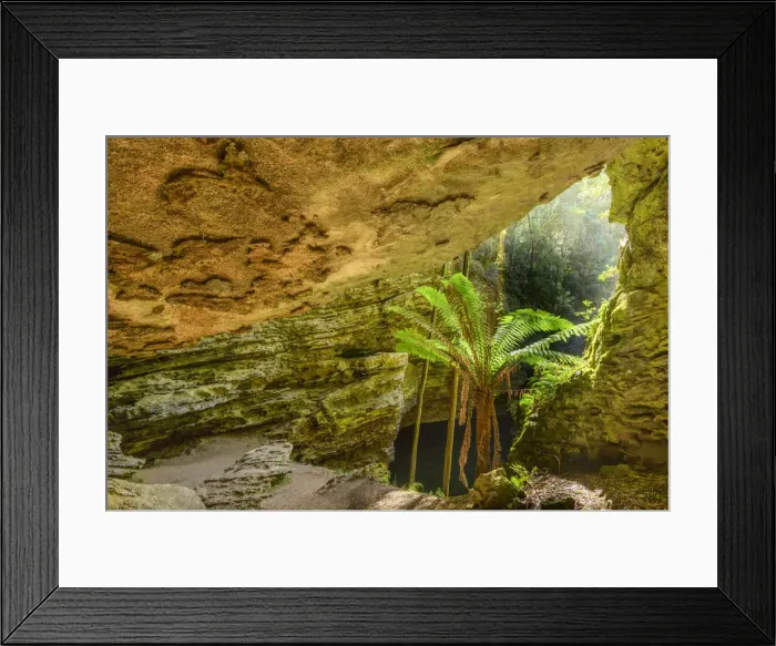 Framed Print : Oceania, Australia, Tasmania, Tarkine Forest at Trowutta Arch Framed Print : Oceania, Australia, Tasmania, Tarkine Forest at Trowutta Arch