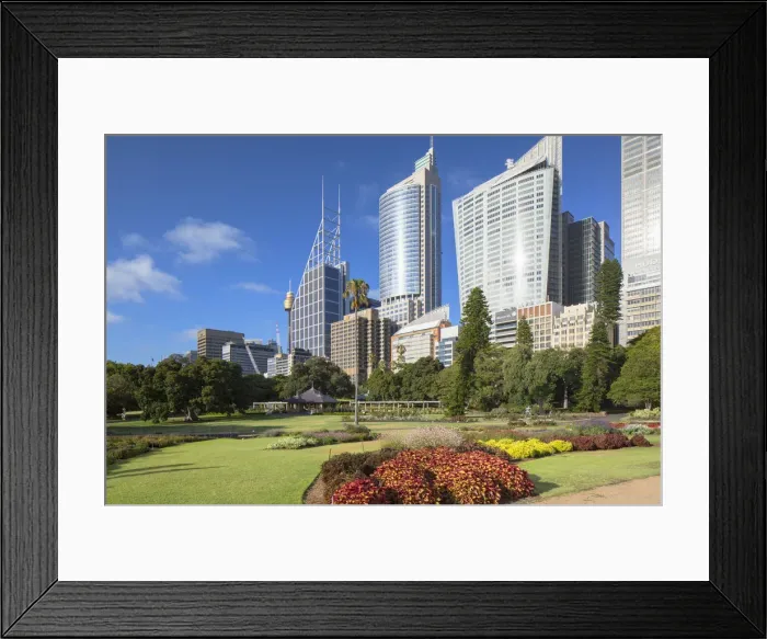 Framed Print : Royal Botanic Gardens and skyscrapers, Sydney, New South Wales, Australia Framed Print : Royal Botanic Gardens and skyscrapers, Sydney, New South Wales, Australia