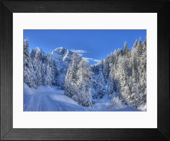 Framed Print : Winter trees with Gehrenspitze at the Raintal in the Tannheimer mountains of the Allgaau Framed Print : Winter trees with Gehrenspitze at the Raintal in the Tannheimer mountains of the Allgaau