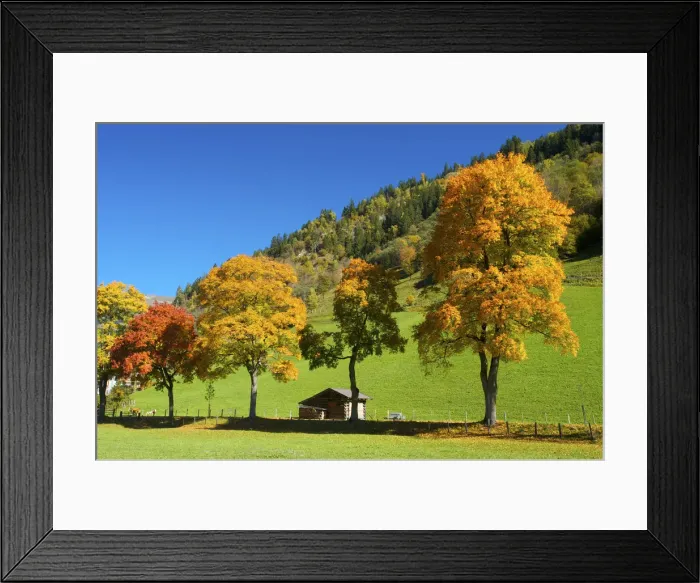Framed Print : Near Dorfgastein, Gasteiner Valley, Pongau, Salzburger Land, Austria Framed Print : Near Dorfgastein, Gasteiner Valley, Pongau, Salzburger Land, Austria