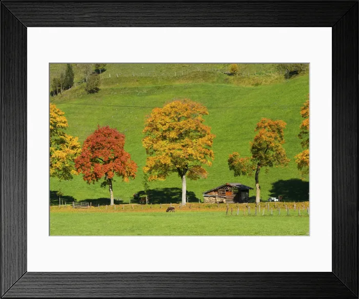 Framed Print : Near Dorfgastein, Gasteiner Valley, Pongau, Salzburger Land, Austria Framed Print : Near Dorfgastein, Gasteiner Valley, Pongau, Salzburger Land, Austria