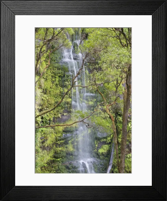 Framed Print : Erskine Falls, Great Otway National Park, Lorne, Great Ocean Road, Victoria, Australia