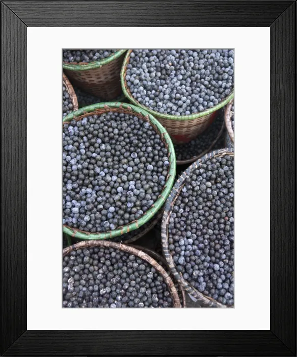 Framed Print : South America, Brazil, Para, Amazon, baskets of acai berry at the morning acai market Framed Print : South America, Brazil, Para, Amazon, baskets of acai berry at the morning acai market