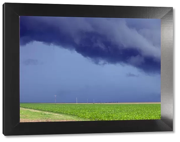 South America, Brazil, Mato Grosso, threatening storm clouds over soya plantations
