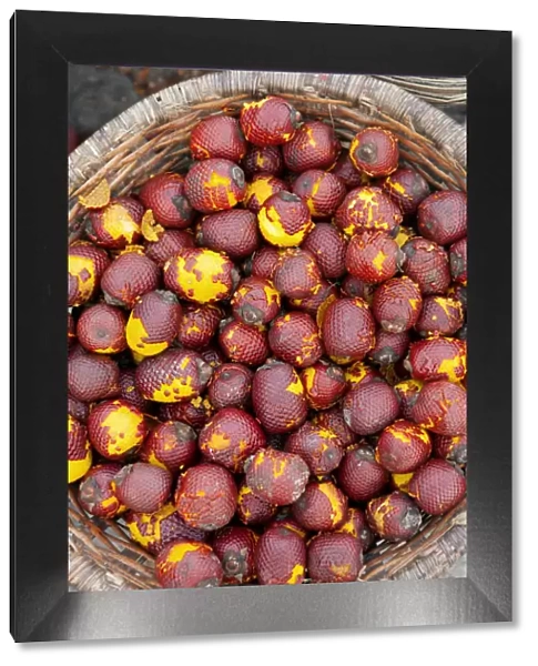 South America, Brazil, Para, Belem, Amazon, buriti fruit for sale at the morning acai