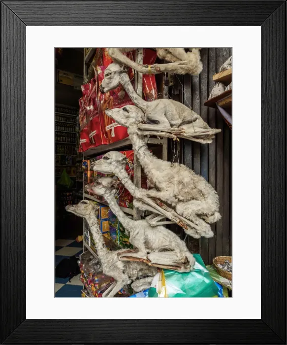 Framed Print : Witches Market, La Paz, Bolivia Framed Print : Witches Market, La Paz, Bolivia