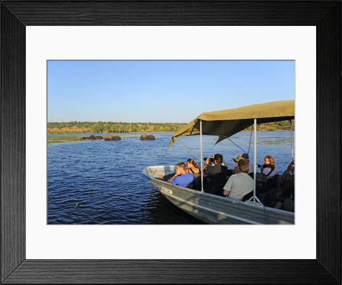 Framed Print : Elephant walking through Chobe River, Chobe National Park, near the town of Kasane Framed Print : Elephant walking through Chobe River, Chobe National Park, near the town of Kasane