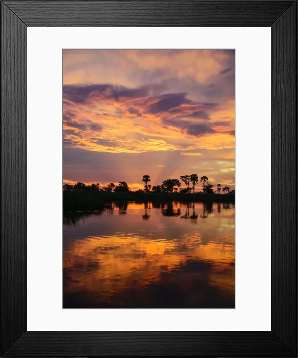 Framed Print : Africa, Botswana, Okavango delta. Sunset at the delta Framed Print : Africa, Botswana, Okavango delta. Sunset at the delta