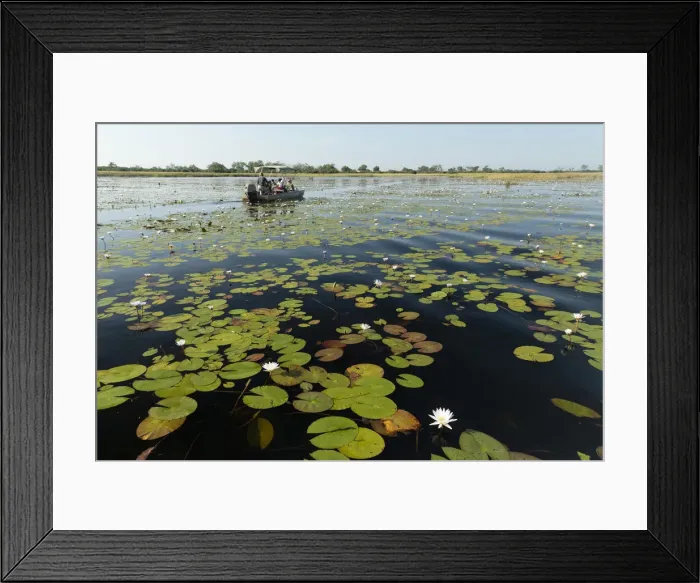 Framed Print : Africa, Southern Africa, Botswana, Savuti, Okavango Delta, Safari boat on river Framed Print : Africa, Southern Africa, Botswana, Savuti, Okavango Delta, Safari boat on river