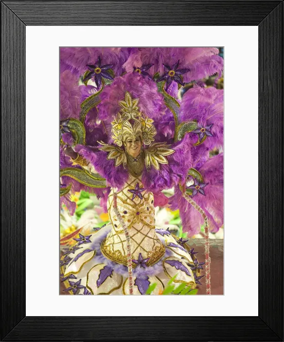 Framed Print : South America, Rio de Janeiro, Rio de Janeiro city, costumed transvestite dancer in Framed Print : South America, Rio de Janeiro, Rio de Janeiro city, costumed transvestite dancer in