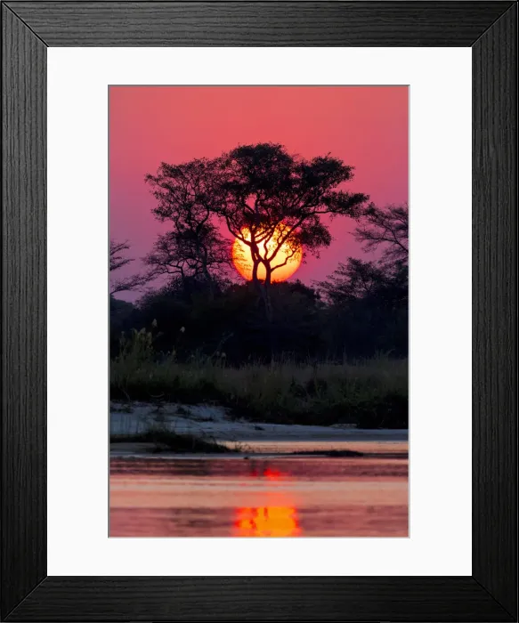 Framed Print : Sunset at the Okavango Delta, Botswana, Africa Framed Print : Sunset at the Okavango Delta, Botswana, Africa