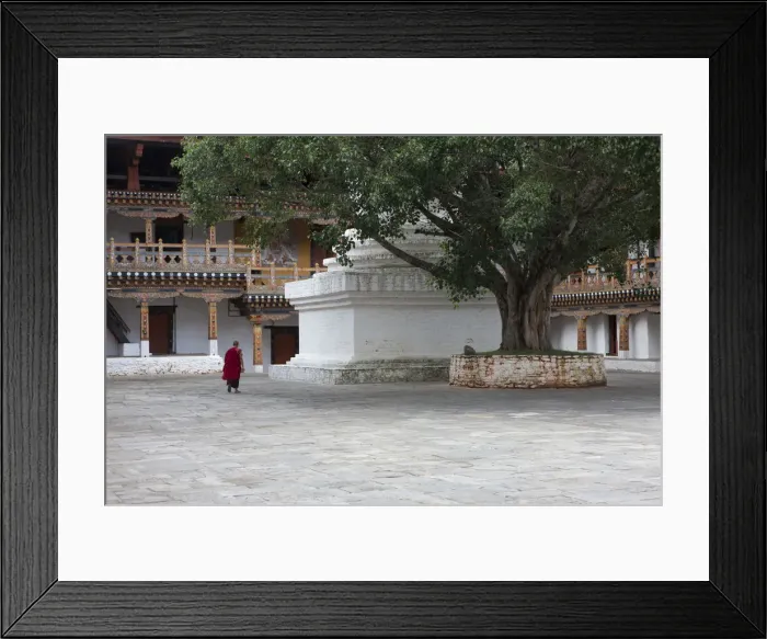 Framed Print : Monks at the Punakha Dzong in Bhutan Framed Print : Monks at the Punakha Dzong in Bhutan