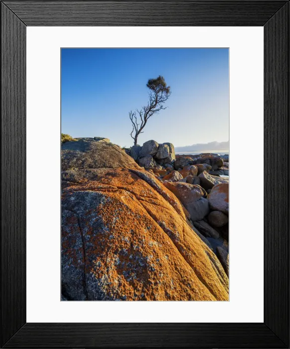Framed Print : Bay of Fires, Binalong Bay, Tasmania Framed Print : Bay of Fires, Binalong Bay, Tasmania