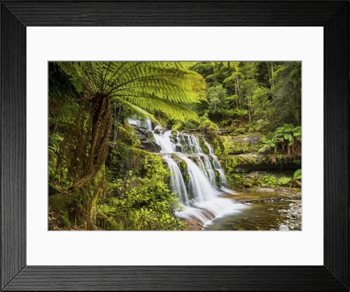 Framed Print : Liffey Falls, Tasmania Framed Print : Liffey Falls, Tasmania