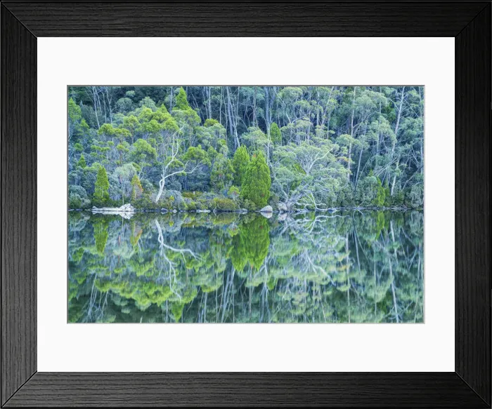 Framed Print : Lake Dobson Reflections, Mt. Field National Park, Tasmania Framed Print : Lake Dobson Reflections, Mt. Field National Park, Tasmania