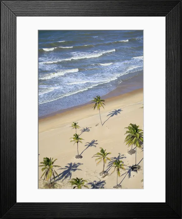 Framed Print : South America, Brazil, Ceara, Aerial view of palm trees on the beach near Fortaleza Framed Print : South America, Brazil, Ceara, Aerial view of palm trees on the beach near Fortaleza