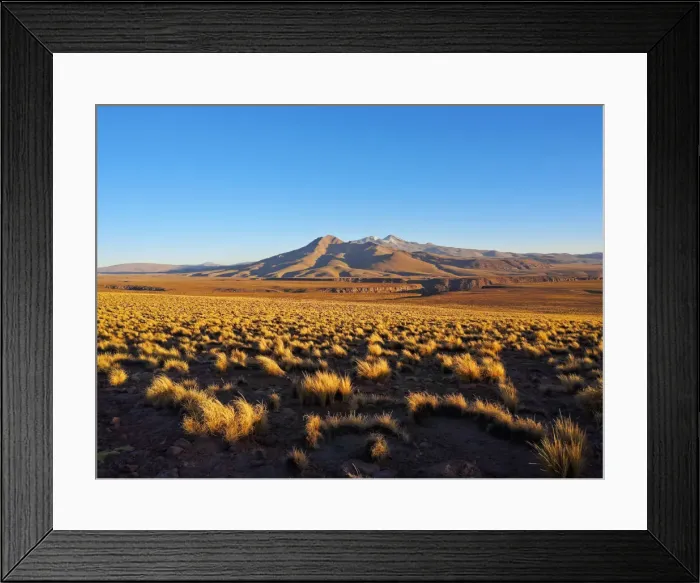 Framed Print : Bolivia, Potosi Departmant, Sur Lipez Province, Eduardo Avaroa Andean Fauna National Framed Print : Bolivia, Potosi Departmant, Sur Lipez Province, Eduardo Avaroa Andean Fauna National