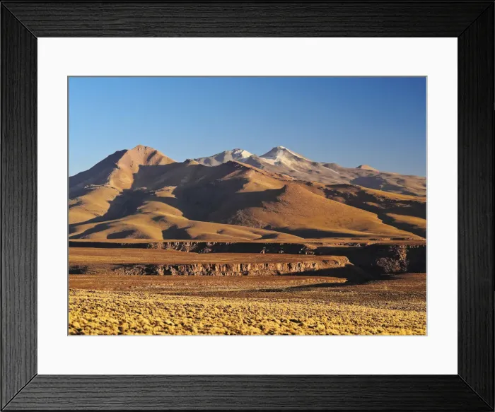 Framed Print : Bolivia, Potosi Departmant, Sur Lipez Province, Eduardo Avaroa Andean Fauna National Framed Print : Bolivia, Potosi Departmant, Sur Lipez Province, Eduardo Avaroa Andean Fauna National