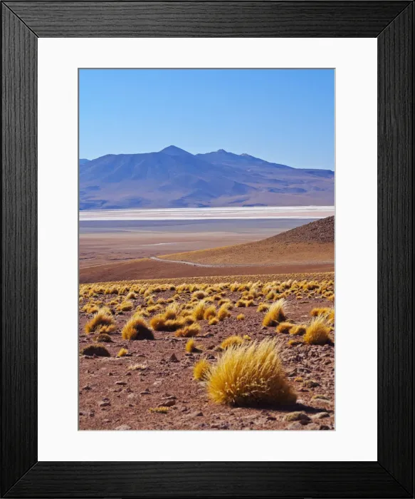 Framed Print : Bolivia, Potosi Departmant, Sur Lipez Province, Eduardo Avaroa Andean Fauna National Framed Print : Bolivia, Potosi Departmant, Sur Lipez Province, Eduardo Avaroa Andean Fauna National