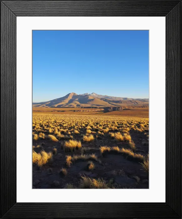 Framed Print : Bolivia, Potosi Departmant, Sur Lipez Province, Eduardo Avaroa Andean Fauna National Framed Print : Bolivia, Potosi Departmant, Sur Lipez Province, Eduardo Avaroa Andean Fauna National