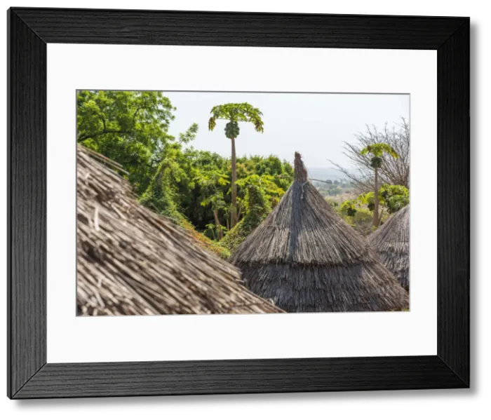 Framed Print : Africa, Benin, Taneka villages. The traditional hut roofs made of plants Framed Print : Africa, Benin, Taneka villages. The traditional hut roofs made of plants