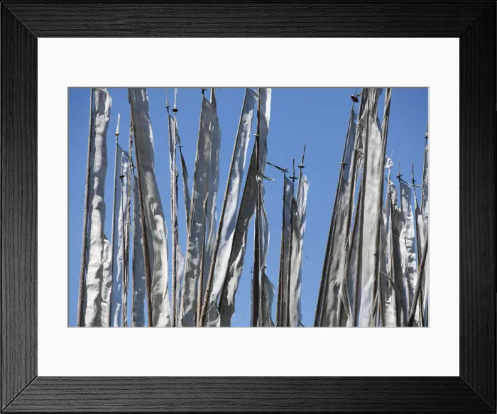 Framed Print : Prayer flags on poles on a hillside in Bumthang, Bhutan Framed Print : Prayer flags on poles on a hillside in Bumthang, Bhutan