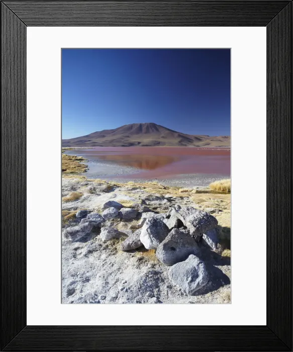 Framed Print : Laguna Colorada on the Altiplano, Potosi Department, Bolivia Framed Print : Laguna Colorada on the Altiplano, Potosi Department, Bolivia