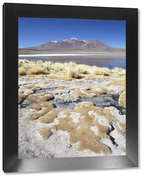 Landscape of Laguna Canapa on Altiplano, Potosi Department, Bolivia