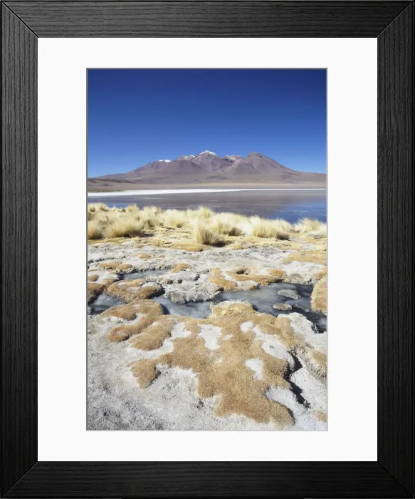 Framed Print : Landscape of Laguna Canapa on Altiplano, Potosi Department, Bolivia Framed Print : Landscape of Laguna Canapa on Altiplano, Potosi Department, Bolivia