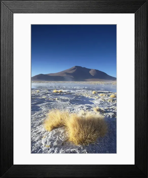 Framed Print : Hot springs of Termas de Polques on the Altiplano, Potosi Department, Bolivia Framed Print : Hot springs of Termas de Polques on the Altiplano, Potosi Department, Bolivia