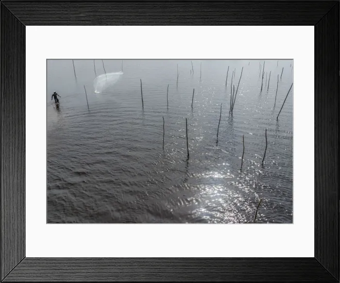 Framed Print : Africa, Benin, Ouidah. A fisherman casting his net in the lagoon Framed Print : Africa, Benin, Ouidah. A fisherman casting his net in the lagoon