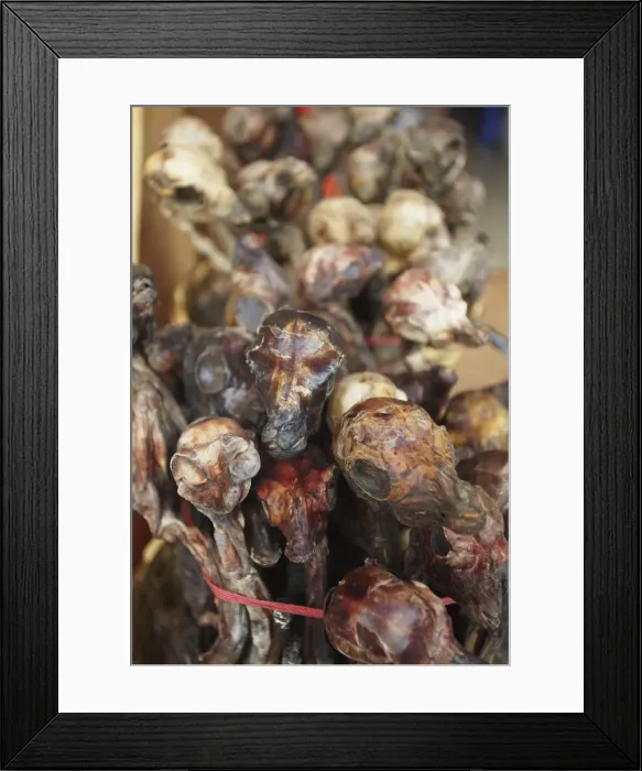Framed Print : Dried llama foetuses in Witches Market, La Paz, Bolivia Framed Print : Dried llama foetuses in Witches Market, La Paz, Bolivia