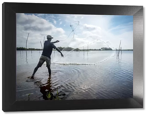 Africa, Benin, Ouidah. A fisherman casting his net in the lagoon