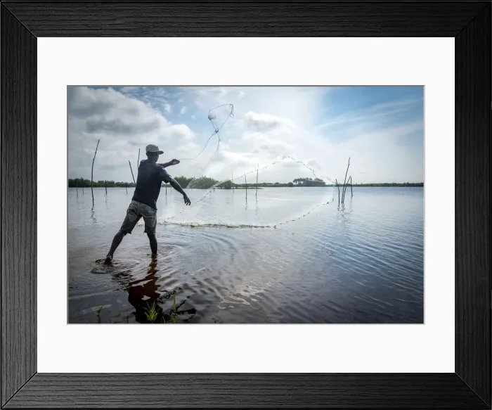 Framed Print : Africa, Benin, Ouidah. A fisherman casting his net in the lagoon Framed Print : Africa, Benin, Ouidah. A fisherman casting his net in the lagoon
