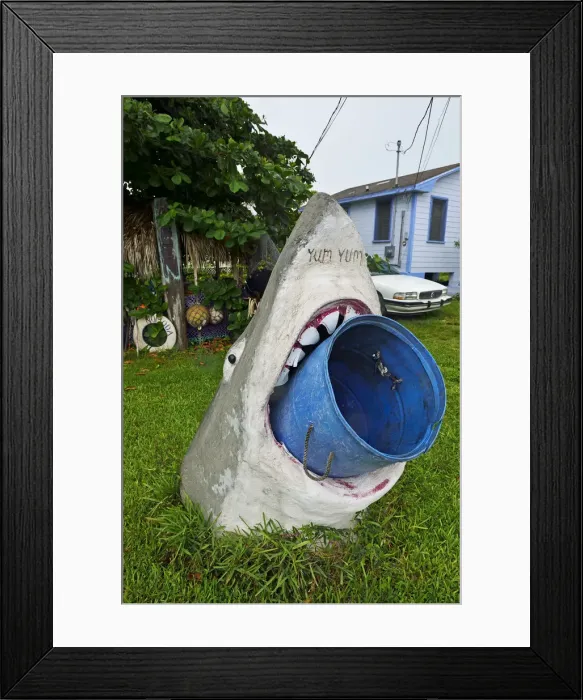 Framed Print : Model of a Great White Shark holds a rubbish bin in its mouth, Treasure Cay, Abacos Framed Print : Model of a Great White Shark holds a rubbish bin in its mouth, Treasure Cay, Abacos