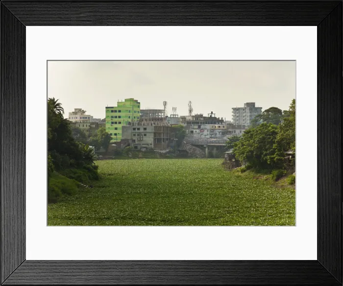 Framed Print : Jessore, Bangladesh. The Bhairab river is clogged with water hyacinth Framed Print : Jessore, Bangladesh. The Bhairab river is clogged with water hyacinth