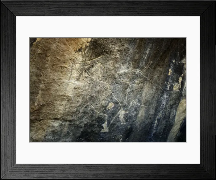 Framed Print : Aurochs. Gobustan Rock Art Cultural Landscape Reserve has an outstanding collection Framed Print : Aurochs. Gobustan Rock Art Cultural Landscape Reserve has an outstanding collection