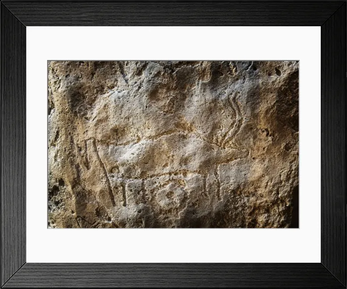 Framed Print : Animal engraving at Gobustan Rock Art Cultural Landscape Reserve has an outstanding Framed Print : Animal engraving at Gobustan Rock Art Cultural Landscape Reserve has an outstanding