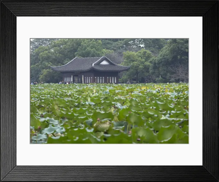 Framed Print : Pavilion in Quyuan Garden on West Lake (UNESCO World Heritage Site), Hangzhou, Zhejiang Framed Print : Pavilion in Quyuan Garden on West Lake (UNESCO World Heritage Site), Hangzhou, Zhejiang