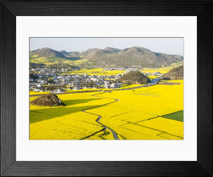 Framed Print : Rapeseed fields in Shiwan Dashan (Hundred Thousand Hills), Luoping, Yunnan, China Framed Print : Rapeseed fields in Shiwan Dashan (Hundred Thousand Hills), Luoping, Yunnan, China