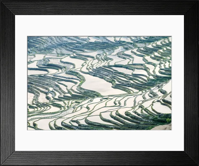 Framed Print : Rice terraces in Yuanyang, Yunnan, China Framed Print : Rice terraces in Yuanyang, Yunnan, China