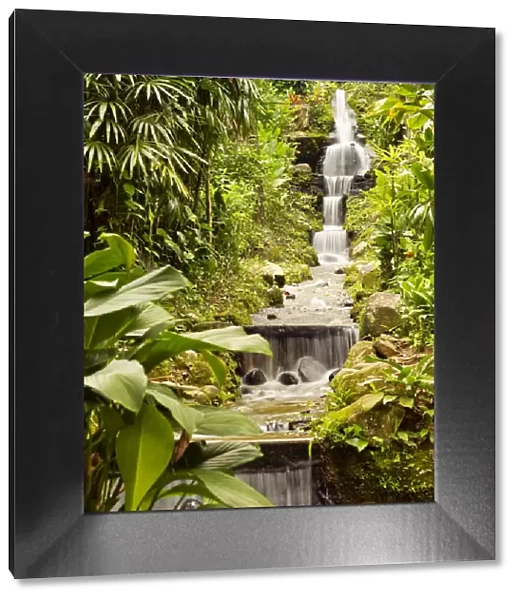 Brazil, City of Rio de Janeiro, Waterfall in the Botanical Garden of Rio de Janeiro