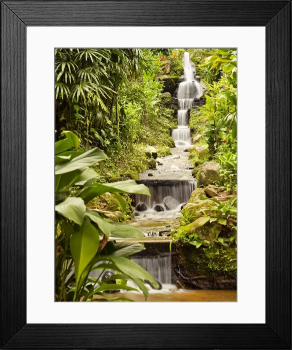 Framed Print : Brazil, City of Rio de Janeiro, Waterfall in the Botanical Garden of Rio de Janeiro Framed Print : Brazil, City of Rio de Janeiro, Waterfall in the Botanical Garden of Rio de Janeiro